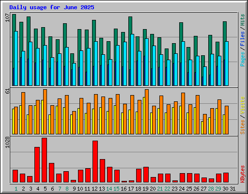 Daily usage for June 2025