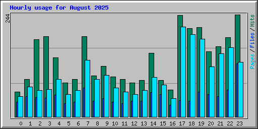 Hourly usage for August 2025