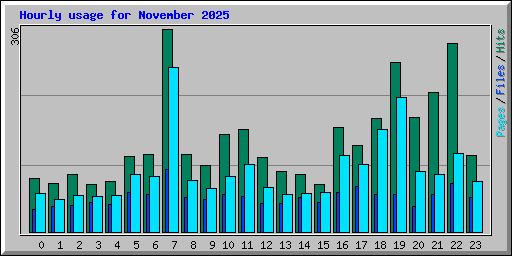 Hourly usage for November 2025
