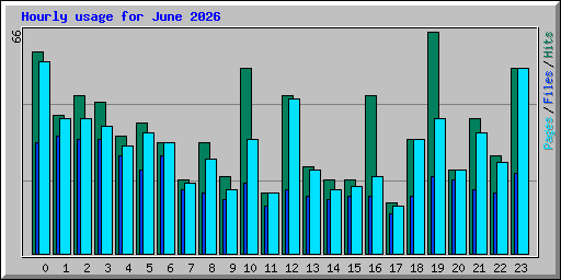 Hourly usage for June 2026